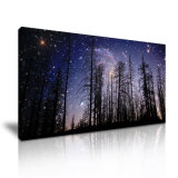 The Forest The Starry Sky Wall Art Canvas Painting