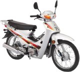 Dayun Motorcycle (DY110-2)