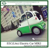 Electric Passenger Car