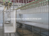 Poultry Abattoir Machine