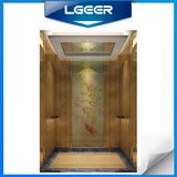 Professional Passenger Elevators