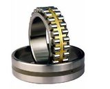 Double Row Cylindrical Roller Bearings