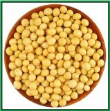Supplying 100% Natural Soy Isoflavones Powder 10%, 80% by HPLC, Health Products