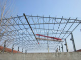 Steel Structure Building Project