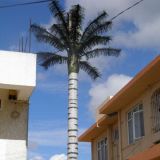 Artificial Bionic Palm Tree Telecommunication Tower