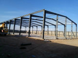 Steel Structure Workshop of Steel Building Project for Algeria