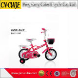 Fashion Aluminium Alloy Kid Bike/ Children Bike