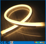 Professional LED Neon Top View Light Decoration