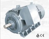 Low Voltage High Output Electric Motor 400kw-10