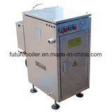 Ldr Mini Electric Steam Boiler