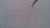 Fiberglass Screen Mesh Wire Netting