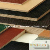 Film Faced Plywood, Wiremesh Birch Plywood, Timber