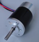 BLDC Motor (TLBL3660-01)