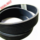 Rubber Belt for Machine Transmission with ISO Certificate V Ribbed