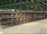 En Standard Steel Rail