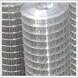 Welded Wire Mesh