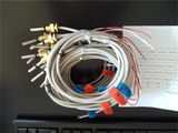 PT1000 Temperature Sensor