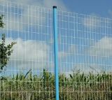 Holland Wire Netting (C-0083)