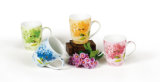 Porcelain Cup (HWM90063)