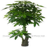 Attificial Plant /Artificial Pachira Macrocarpa