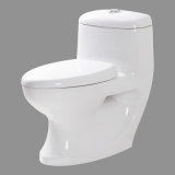 Toilet (P-E875)