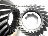 Spiral Bevel Gear