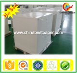 250g Digital Printing Cast Coated Paper