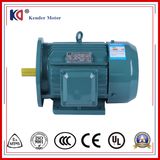 Cast Iron Ys Series Electric Motor