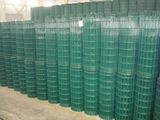 Galvanized Wire Mesh