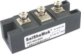 Bridge Rectifier Module Silicon Controlled Module (MDC1601600V)