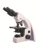 Bestscope Bs-2040b Biological Microscope