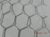 Hot Sale! ! ! Electro Galvanized Hexagonal Wire Netting (Anping factroy)