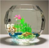 Square Glass Aquarium Tank Super Platinum Fish Bowl