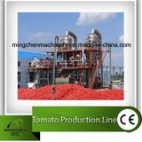 Full Automatic Juce Concentration Production Line
