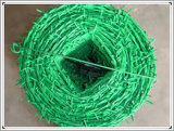PVC Barbed Wire/Netting (HP-CS03)