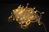 LED Holiday String Light