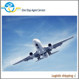 Air Cargo Freight Forwarding Service