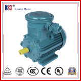 380V CE Approved Asynchronous Electric Anti-Explosion Motor