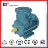 380V CE Approved Asynchronous Electric Anti-Explosion Motor