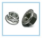 Stainless Steel Standard Flange Nut