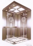 Outtstanding Commercial Passenger Elevator Price