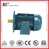 Electric Induction Motor with Energy Saving