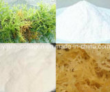 Carrageenan, Seaweeds Extract Natural), Food Additive, Food
