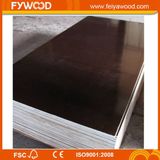 Film Faced Plywood for Concrete Project (FYJ1560)