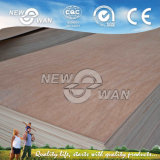 Commercial Plywood with Competitive Price