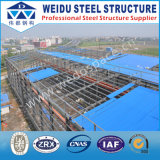 Professional Manufacturer of Steel Structure Building (WD092802)