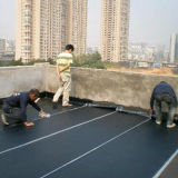 Sbs Modified Bitumen Waterproof Membrane for Roof /Garage /Basement with ISO (3.0mm /4.0mm /5.0mm Thickness)