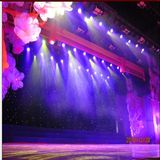 LED Curtain Wall Light