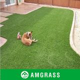 Artificial Turf for Landscape/Recreation/Garden (AMFT424-35D)