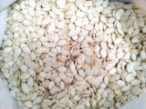 High Quality Snow White Pumpkin Seeds Large Supplier